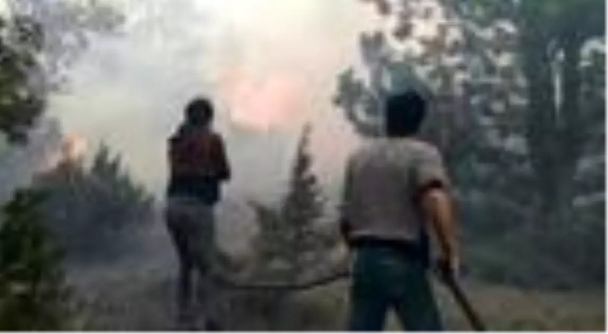 DHA YURT BÜLTENİ - 19