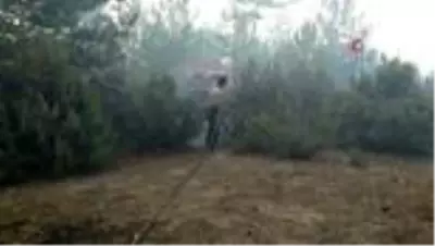 Son dakika... Kütahya'da orman yangını