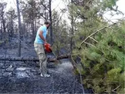 Kütahya'daki orman yangını kontrol altına alındı