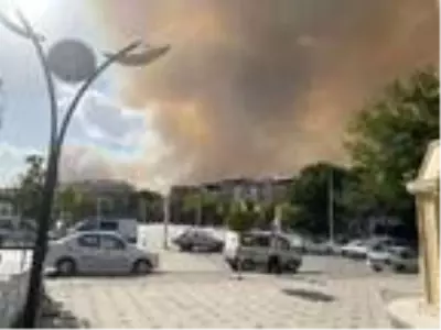 Gördes'te orman yangını Gördes'te orman yangını
