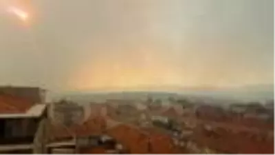 Gördes'te orman yangını Gördes'te orman yangını