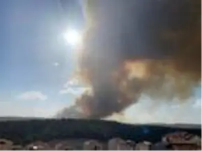 Gördes'te orman yangını Gördes'te orman yangını