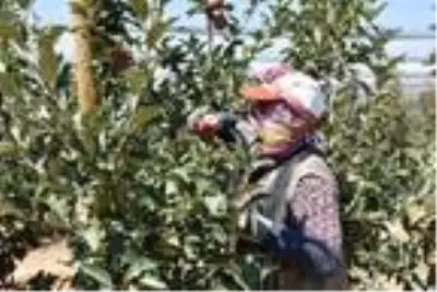 DHA YURT ÖZEL GÜNDEMİ DHA YURT ÖZEL GÜNDEMİ