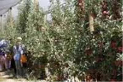 DHA YURT ÖZEL GÜNDEMİ DHA YURT ÖZEL GÜNDEMİ