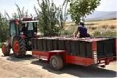 DHA YURT ÖZEL GÜNDEMİ DHA YURT ÖZEL GÜNDEMİ