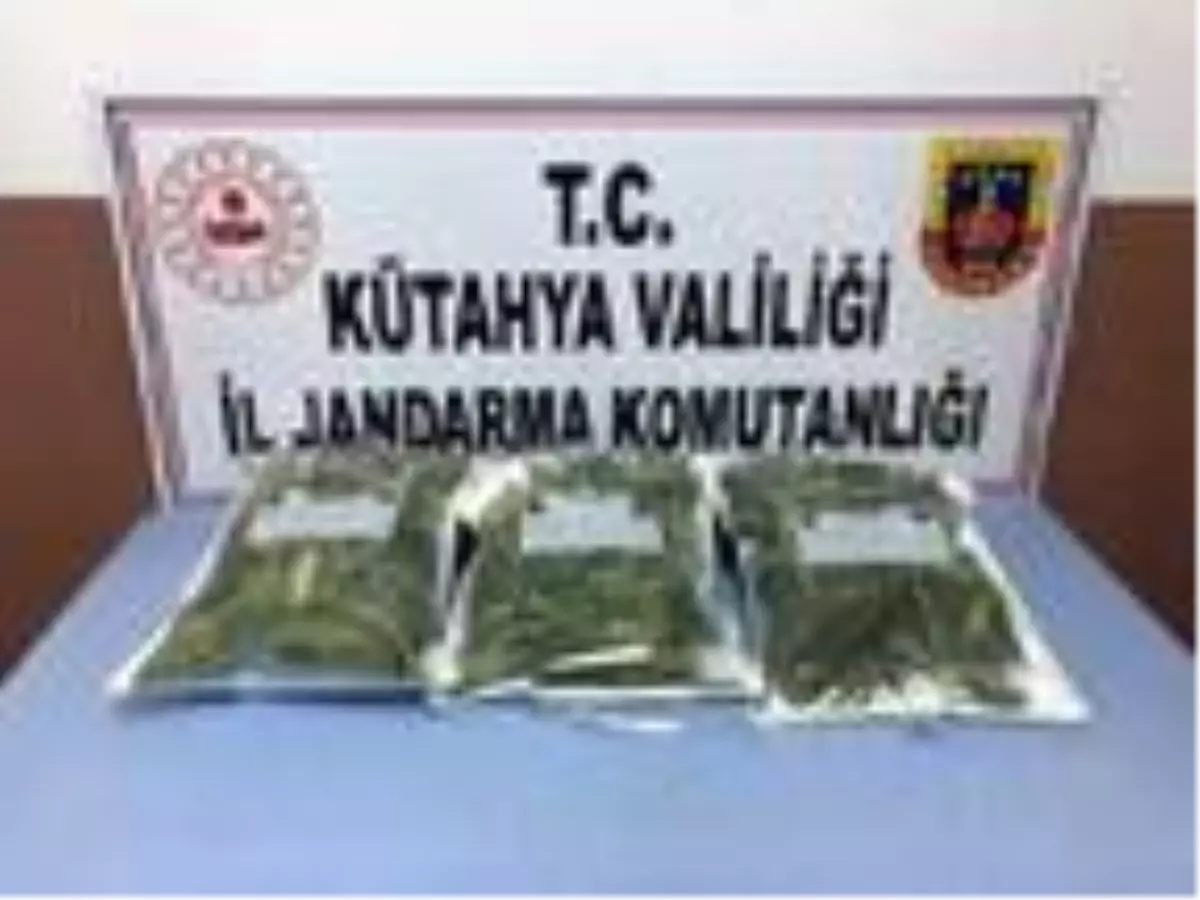 Otomobilde 1 kilo 600 gram esrarla yakalandı