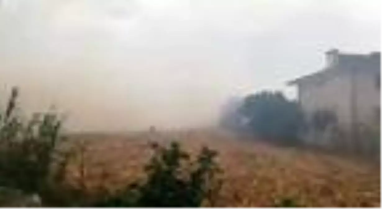 Son dakika haberi! Sakarya'da 3 farklı yerde yangın