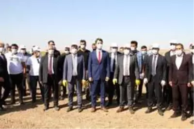 Pakdemirli: 'Şırnak-Silopi'de 30 bin dekar olan yer fıstığı üretim alanını 60 bin dekara, rekolteyi... Pakdemirli: 'Şırnak-Silopi'de 30 bin dekar olan yer fıstığı üretim alanını 60 bin dekara, rekolteyi...