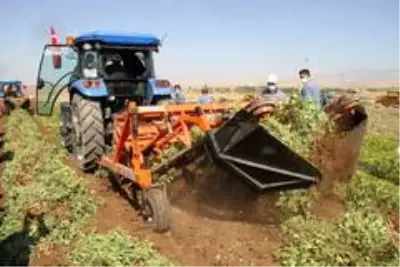 Pakdemirli: 'Şırnak-Silopi'de 30 bin dekar olan yer fıstığı üretim alanını 60 bin dekara, rekolteyi... Pakdemirli: 'Şırnak-Silopi'de 30 bin dekar olan yer fıstığı üretim alanını 60 bin dekara, rekolteyi...
