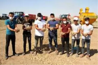 Pakdemirli: 'Şırnak-Silopi'de 30 bin dekar olan yer fıstığı üretim alanını 60 bin dekara, rekolteyi... Pakdemirli: 'Şırnak-Silopi'de 30 bin dekar olan yer fıstığı üretim alanını 60 bin dekara, rekolteyi...
