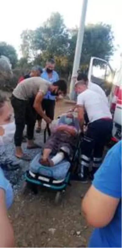 Sokak köpeğinin saldırısına uğrayan yaşlı kadın canını zor kurtardı Sokak köpeğinin saldırısına uğrayan yaşlı kadın canını zor kurtardı