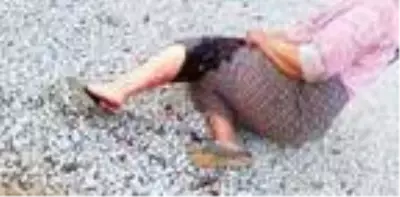 Sokak köpeğinin saldırısına uğrayan yaşlı kadın canını zor kurtardı Sokak köpeğinin saldırısına uğrayan yaşlı kadın canını zor kurtardı