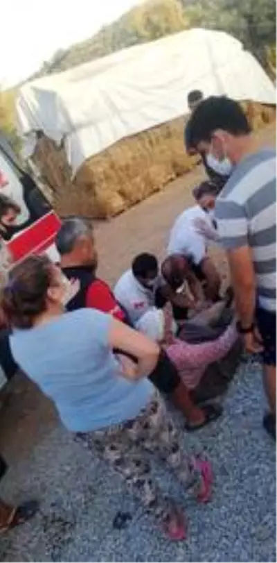 Sokak köpeğinin saldırısına uğrayan yaşlı kadın canını zor kurtardı Sokak köpeğinin saldırısına uğrayan yaşlı kadın canını zor kurtardı