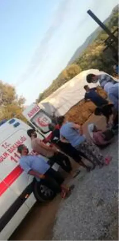 Sokak köpeğinin saldırısına uğrayan yaşlı kadın canını zor kurtardı Sokak köpeğinin saldırısına uğrayan yaşlı kadın canını zor kurtardı