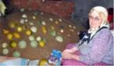 Tekirdağ'ın 600 gramlık, 'hırsız almaz' kavunları yoğun talep görüyor Tekirdağ'ın 600 gramlık, 'hırsız almaz' kavunları yoğun talep görüyor