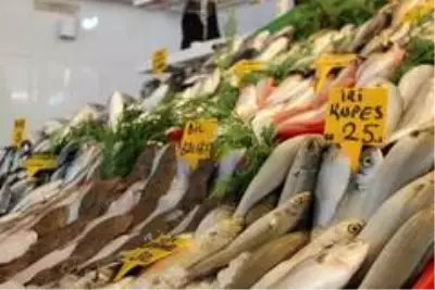 Tezgahlarda sağlıksız balık satışının önüne geçiliyor Tezgahlarda sağlıksız balık satışının önüne geçiliyor