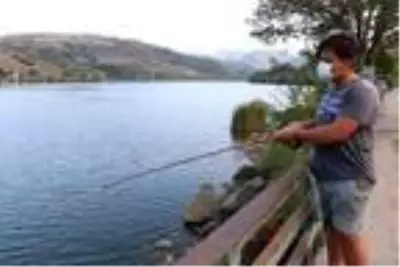 Yılda 9 kez üreyebilen İsrail sazanı nedeniyle balıkçılar kan ağlıyor Yılda 9 kez üreyebilen İsrail sazanı nedeniyle balıkçılar kan ağlıyor
