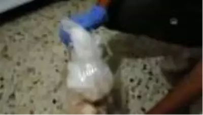 Adana'da, 6 kilo 910 gram esrar ve 3 bin 138 uyuşturucu hap ele geçirildi Adana'da, 6 kilo 910 gram esrar ve 3 bin 138 uyuşturucu hap ele geçirildi