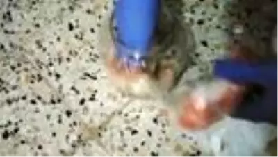 Adana'da, 6 kilo 910 gram esrar ve 3 bin 138 uyuşturucu hap ele geçirildi Adana'da, 6 kilo 910 gram esrar ve 3 bin 138 uyuşturucu hap ele geçirildi