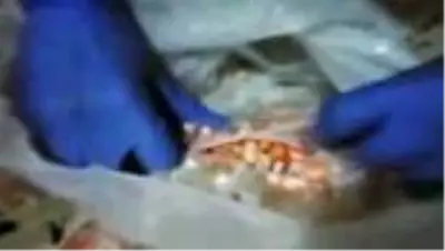 Adana'da, 6 kilo 910 gram esrar ve 3 bin 138 uyuşturucu hap ele geçirildi Adana'da, 6 kilo 910 gram esrar ve 3 bin 138 uyuşturucu hap ele geçirildi