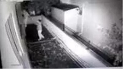 Aile üyeleri mutfakta yemek yerken, evi soyan hırsızlar kameralara yakalandı Aile üyeleri mutfakta yemek yerken, evi soyan hırsızlar kameralara yakalandı