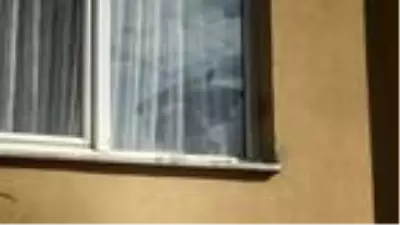 Son dakika gündem: Beylikdüzü'nde öldürülen köpeklerin sahibi: Köpeğimin boğazını gözümün önünde kesti Son dakika gündem: Beylikdüzü'nde öldürülen köpeklerin sahibi: Köpeğimin boğazını gözümün önünde kesti
