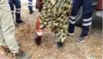 Domuz saldırısına uğrayan kadın kanlar içerisinde kaldı Domuz saldırısına uğrayan kadın kanlar içerisinde kaldı