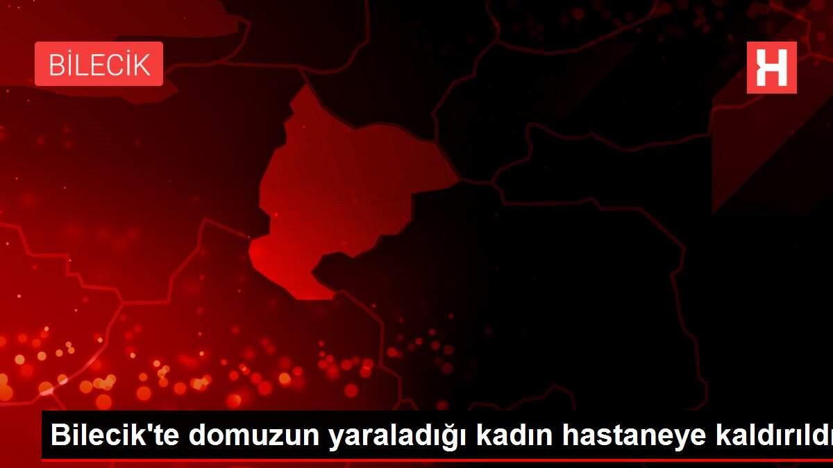 Bilecik'te domuzun yaraladığı kadın hastaneye kaldırıldı Bilecik'te domuzun yaraladığı kadın hastaneye kaldırıldı