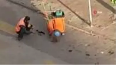 Bolu'da temizlik işçisi yanına gelen kargayı elleriyle besledi Bolu'da temizlik işçisi yanına gelen kargayı elleriyle besledi