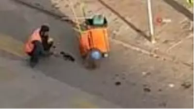 Bolu'da temizlik işçisi yanına gelen kargayı elleriyle besledi Bolu'da temizlik işçisi yanına gelen kargayı elleriyle besledi