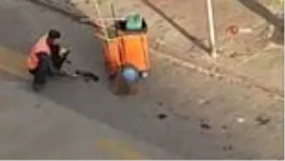 Bolu'da temizlik işçisi yanına gelen kargayı elleriyle besledi Bolu'da temizlik işçisi yanına gelen kargayı elleriyle besledi