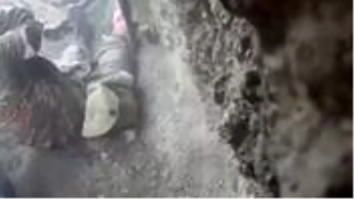 Ermeni askerlerinin cephede 'Bizi burada yalnız bıraktılar' diyerek ağladığı anlar kameraya yansıdı