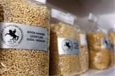 Havza'nın üreten kadın kooperatifi 'İlk Kıvılcım Çarşı' Havza'nın üreten kadın kooperatifi 'İlk Kıvılcım Çarşı'
