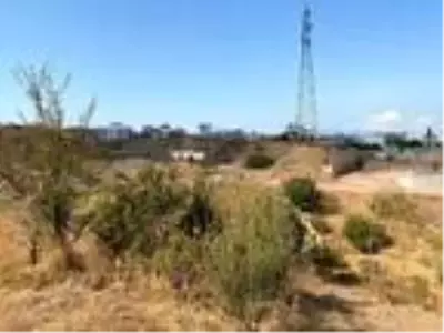 İzmir'in Çernobil'i için için yanarken tehlike saçmaya devam ediyor İzmir'in Çernobil'i için için yanarken tehlike saçmaya devam ediyor