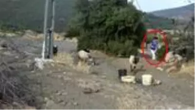 Keçi otlatan lise öğrencisine cinsel saldırıda bulunan sanık 4 ay sonra tahliye edildi Keçi otlatan lise öğrencisine cinsel saldırıda bulunan sanık 4 ay sonra tahliye edildi
