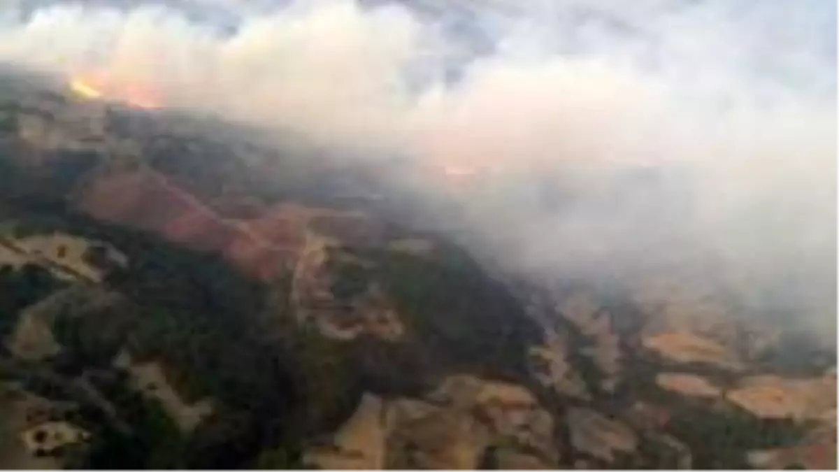 Son dakika haber | Manisa'daki orman yangını kontrol altına alındı