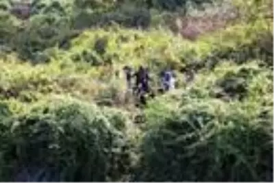 Sakarya Nehri'nde kaybolan Talha'yı arama çalışması sürüyor Sakarya Nehri'nde kaybolan Talha'yı arama çalışması sürüyor