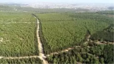 Sorgusunda susma hakkını kullanan Duygu'nun katil zanlısı tutuklandı Sorgusunda susma hakkını kullanan Duygu'nun katil zanlısı tutuklandı