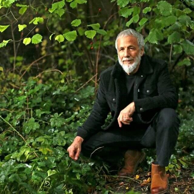 Yusuf İslam kimdir? Yusuf İslam ilahileri neler?