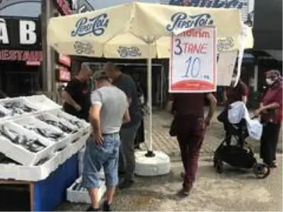 3 tane palamudun 10 lira olduğunu duyan balıkçıya koştu