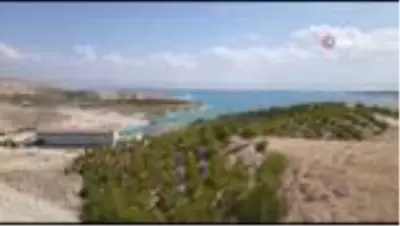 Atatürk Baraj Gölü'ne balık yavrusu bırakıldı Atatürk Baraj Gölü'ne balık yavrusu bırakıldı