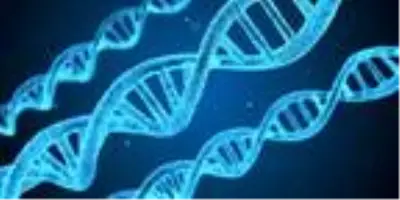 Bilim adamları duyurdu: Ağır koronavirüs vakalarından Neandertal genleri sorumlu olabilir Bilim adamları duyurdu: Ağır koronavirüs vakalarından Neandertal genleri sorumlu olabilir