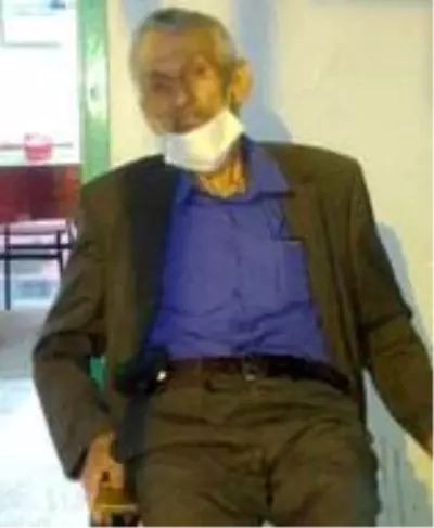 Ceviz ağacından düşen şahıs hayatını kaybetti Ceviz ağacından düşen şahıs hayatını kaybetti