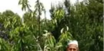 Mehmet Yüksel: Son dakika haberleri! Ceviz toplarken ağaçtan düşen şahıs hayatını kaybetti Mehmet Yüksel: Son dakika haberleri! Ceviz toplarken ağaçtan düşen şahıs hayatını kaybetti
