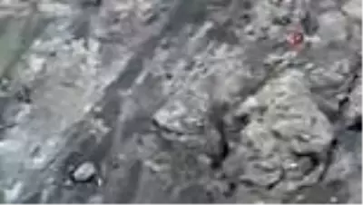 Dağın eteklerinde çoban köpekleri ayıyı böyle kovaladı Dağın eteklerinde çoban köpekleri ayıyı böyle kovaladı