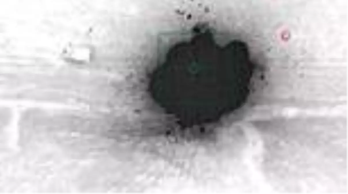 Ermenistan ordusu Azerbaycan ile çatışmalarda ağır kayıplara uğradı