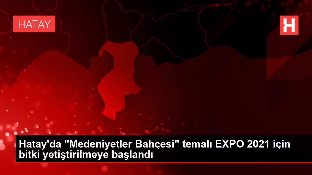 Hatay'da 'Medeniyetler Bahçesi' temalı EXPO 2021 için bitki yetiştirilmeye başlandı