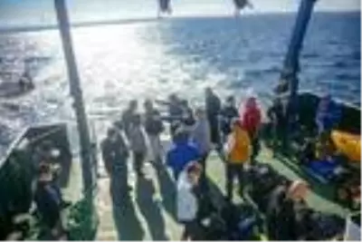 Son dakika haber! Çanakkale'de Majestic batığına dalış turizmi çalışmalarında sona yaklaşıldı Son dakika haber! Çanakkale'de Majestic batığına dalış turizmi çalışmalarında sona yaklaşıldı