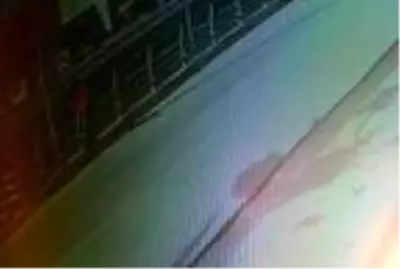 Köprüden atladıktan sonra üzerinden kamyonet geçen genç, yaşamını yitirdi Köprüden atladıktan sonra üzerinden kamyonet geçen genç, yaşamını yitirdi