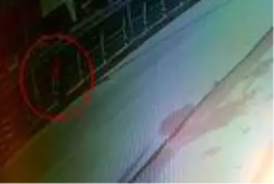 Köprüden atladıktan sonra üzerinden kamyonet geçen genç, yaşamını yitirdi Köprüden atladıktan sonra üzerinden kamyonet geçen genç, yaşamını yitirdi